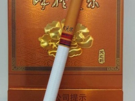 呼伦贝尔(天之韵)