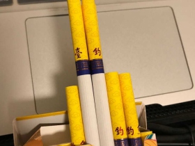 钓鱼台(中支)