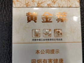 95666_98033