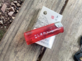真龙(起源)
