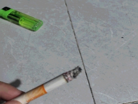 铁塔猫(橙子奶油)