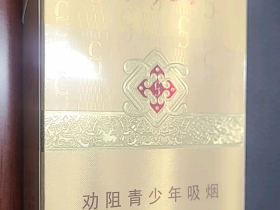 95669_53700