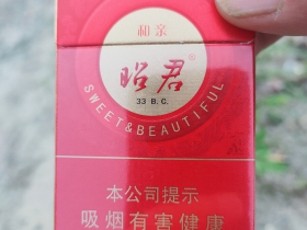 95655_52670