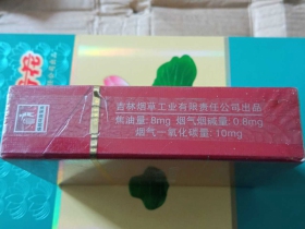 长白山(银)