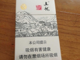 真龙(起源)