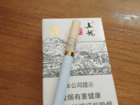 真龙(起源)