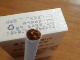 真龙(起源)