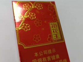 梅花王(旗袍红)