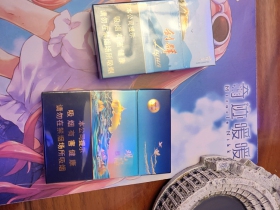 七匹狼(观海中支)