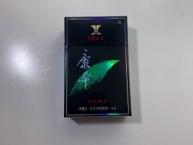 康希(19+1二代)