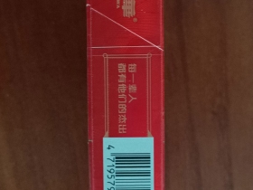 大华(大时代)
