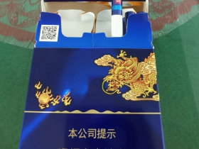 真龙(海韵中支)