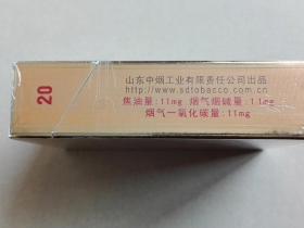 泰山(将军)