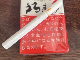 海马(软)