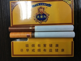 云烟(大重九9+1中免版)