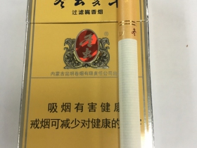 冬虫夏草(硬)
