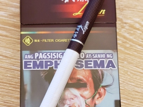 利群(阳光出口菲律宾版)