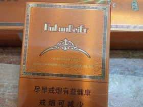 呼伦贝尔(天之韵)