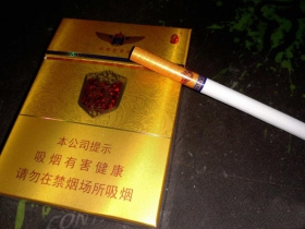 泰山(金将中支)
