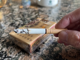 御猫(棕)