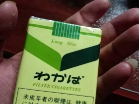 嫩叶(日税版)