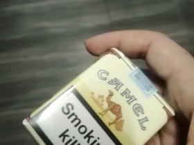 骆驼(无嘴中南半岛免税)