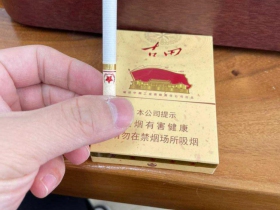 七匹狼(古田成功中支)