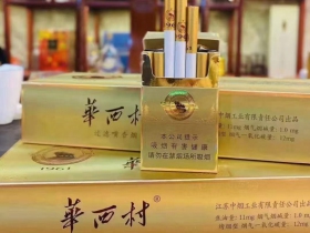 华西村(经典)