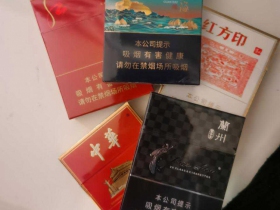 七匹狼(观海中支)