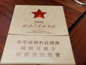 七匹狼(古田成功中支)