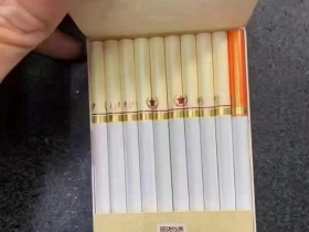 七匹狼(古田成功中支)