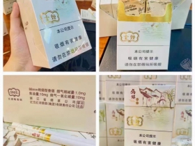 云烟(乌镇之恋中支)