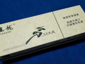 1355_74970