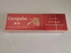 椰树(硬)