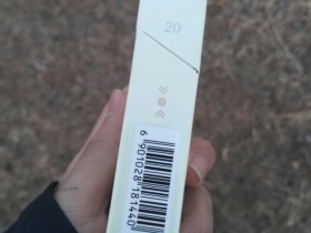 92700_69441