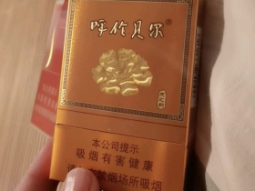 呼伦贝尔(天之韵)