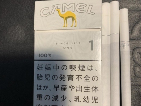 骆驼(1mg 100S日版)