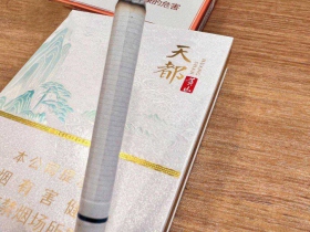 95785_16731