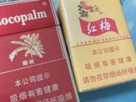 椰树(硬)