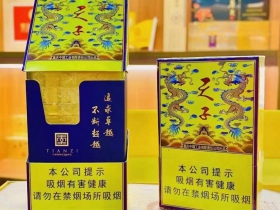 天子(传奇)