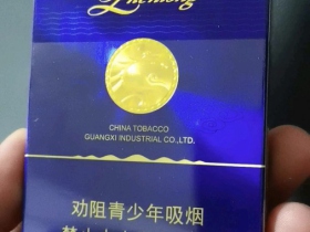 真龙(海韵中支)