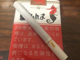 海马(软)