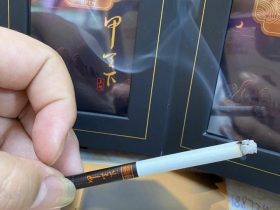 真龙(甲天下中支)