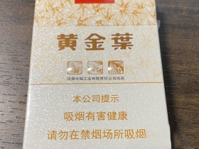 95666_93207