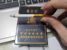 黄鹤楼(金典中支)