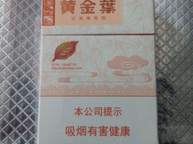 95800_75104