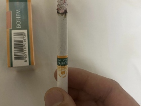宝恒(树叶鸡尾酒)