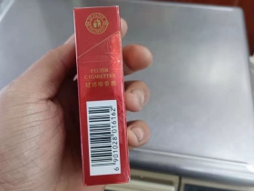 真龙(状元)