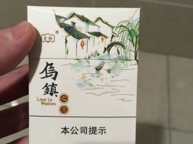 云烟(乌镇之恋中支)