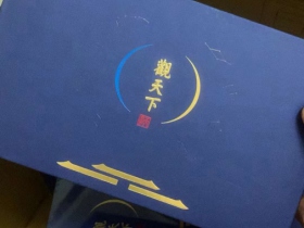天子(观天下)
